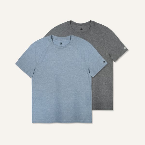 Men's Stride Flex Performance Tee 2 Pack